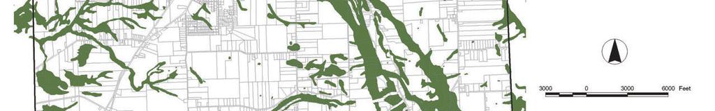 Primary Conservation Areas wetlands, floodplains, and