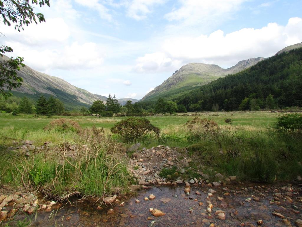 Ennerdale in the Lake District is being allowed to re-wild.