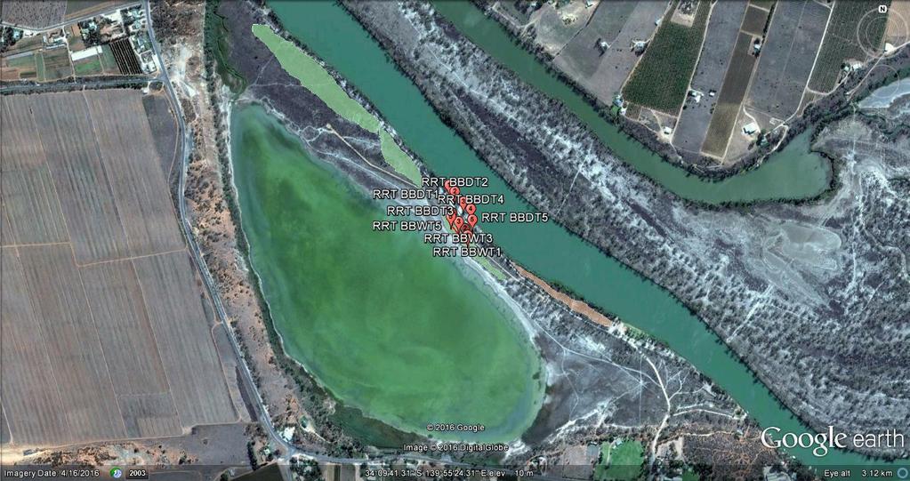 Figure 3 Ramco River Terrace watering sites, showing two areas of black box