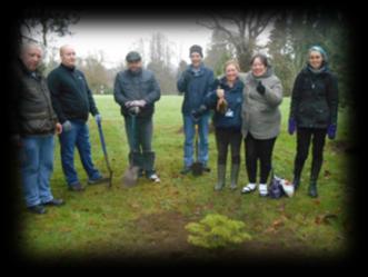 A local group of volunteers look after the reserve through regular litter picks and improvements to the paths and habitats.