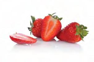 Calendar of seasonal gardening activities, when to grow and harvest Growing strawberries water regularly