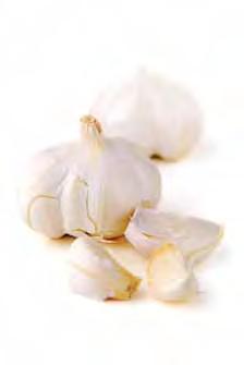 growing food for hearts & minds You can grow your garlic using cloves indoors in 1 litre pots or bigger
