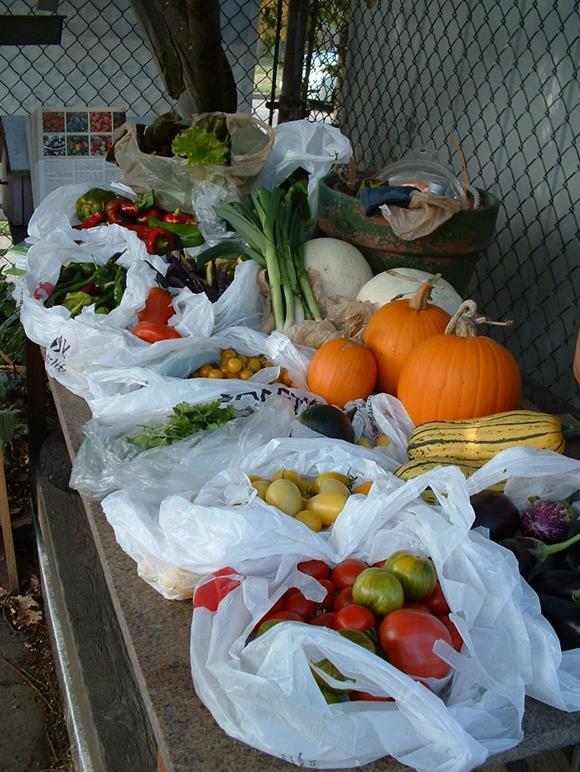 How We Make A Difference Master Gardeners donate tons of food to local food banks Master Gardeners serve King