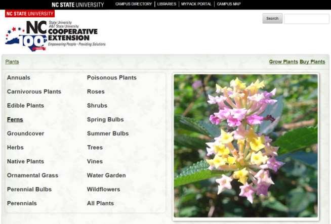Extension Plants Database: Can help you select native and