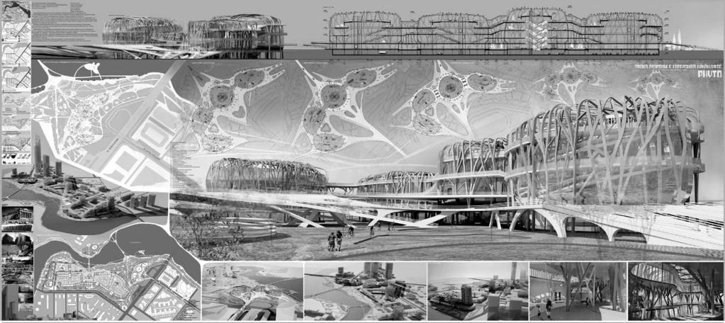 Further development of this idea can be seen see in the project Water Park (Fig. 10). The emphasis in these projects (Fig.
