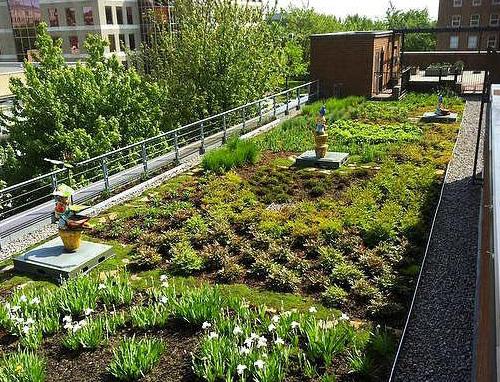 org/2014/01/26/vauban-freiburg-germany/ Green roofs allows to regulate the