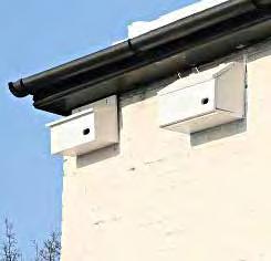 bat boxes and provide guidance for planting including