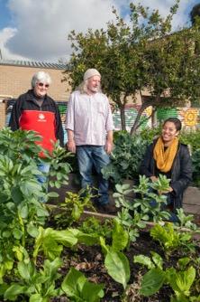 East Reservoir Community Garden Challenges Number and capacity of garden members has not been sufficient to enable the group to self-govern and operate independently on an ongoing basis Program,