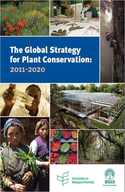 A rational, cost-effective Global System The Global Strategy for Plant Conservation A review process (GPPC/BIP) A network of international institutions and ex situ collections (BGCI)
