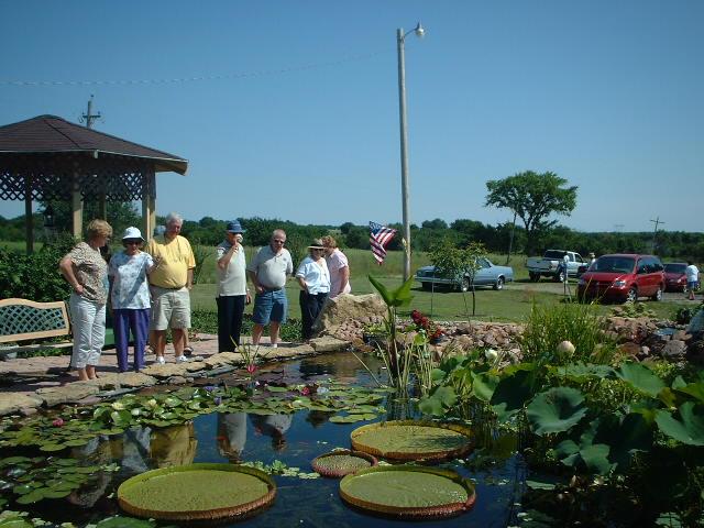 Admiring the lily are (l-r) Donnis Hodges, Mary Eberhardt, Gerald Hodges, Duane Eberhardt, Floyd Gruver, Helen Platis and Mary Pat Fischer.
