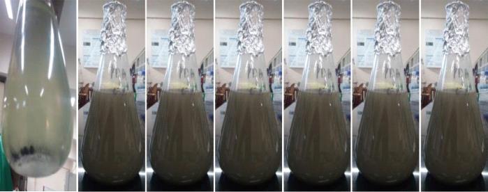 In this paper, two-step method is adopted for preparation of silver nanoparticles and water mixture.