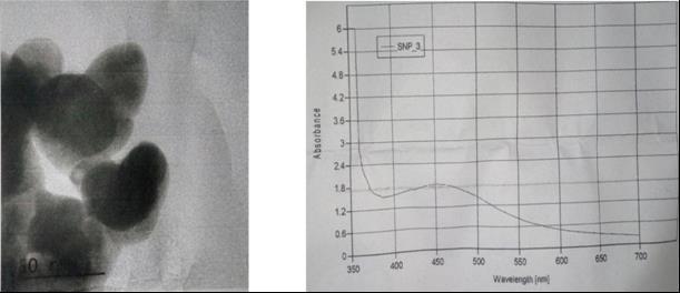 The TEM image, UV spectrophotometer analysis and raman analysis of silver nanoparticles presented in Fig.2-3 respectively. 0.01 and 0.