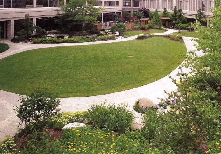 nature Studies confirm the positive benefits of healing gardens for patients, hospital