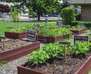 Bremner should feature community gardens for local food production. 7.2.