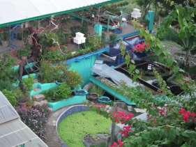 Greenhouse Skinned Palawan Creamery below Walkway for inset pipes Walkway for inset pipes Grow Bed Cheese cave pond