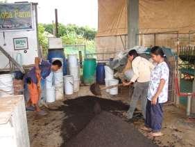 collection weekly for vermiculture Peat Production Peat Production EM + Water