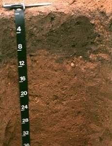 Natural variations in soils Other soils may have naturally low organic matter or be shallow to bedrock.