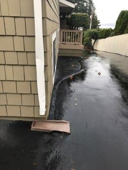 Recommend conditions are corrected to prevent animal entry and air infiltration. 2. Gutters Gutters and downspouts appeared in good condition overall.