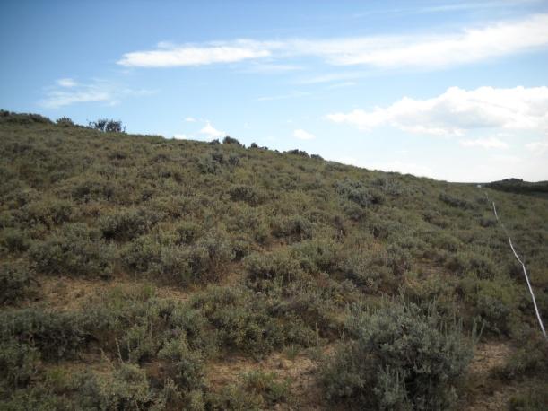 8% Erosiveness: 4.6 Sage Grouse habitat:.41 Mule Deer habitat:.