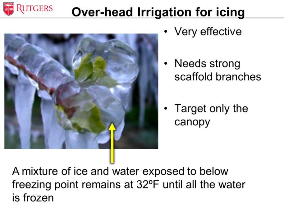 Over-head irrigation for icing is a very effective method which targets only the canopy, however young trees branches do break under the weight of ice loading, so may not work in very