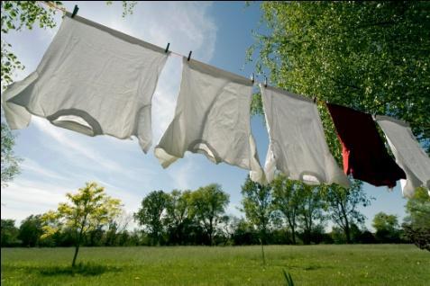USE YOUR APPLIANCES WISELY * Use cold water when washing clothes and, weather permitting, Line Dry your clothes instead of using a dryer.