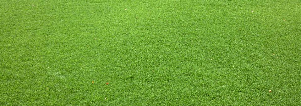 EUREKA Kikuyu Premium VG grown exclusively in Victoria, is a versatile turf variety that has been rigorously tested under local conditions.
