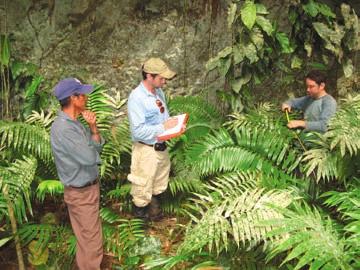 Specific conservation and research outcomes include: 1. Zamia prasina germplasm for ex situ conservation collections, divided between Green Hills Botanical Collections, Belize Botanic Garden and MBC.