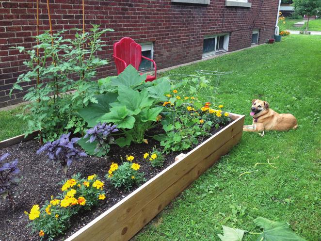 Gardening Supplies Raised Garden Bed Kits Gardening made easy! A planting box is just the thing for summer veggies, herbs, and flowers!