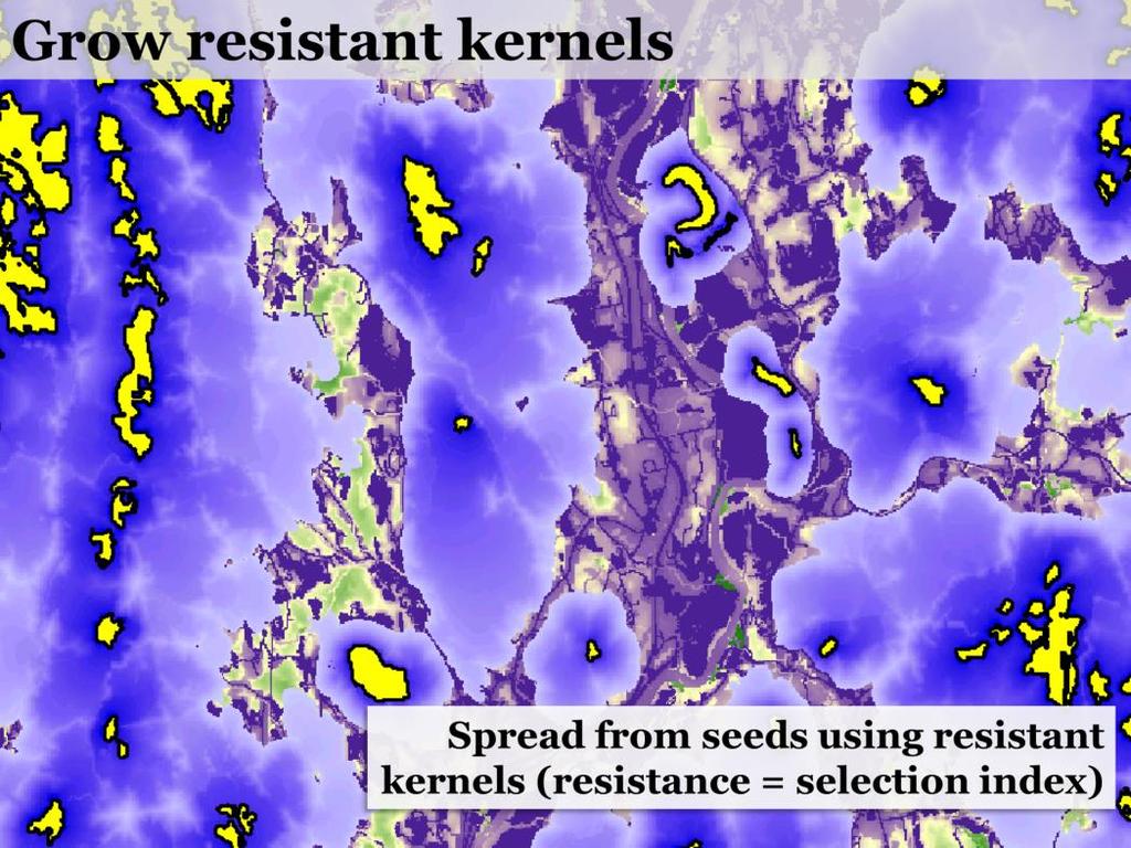 We then spread outward from the seeds using resistant kernels, with the selection index used as resistance. They say that if all you have is a hammer, everything looks like a nail.
