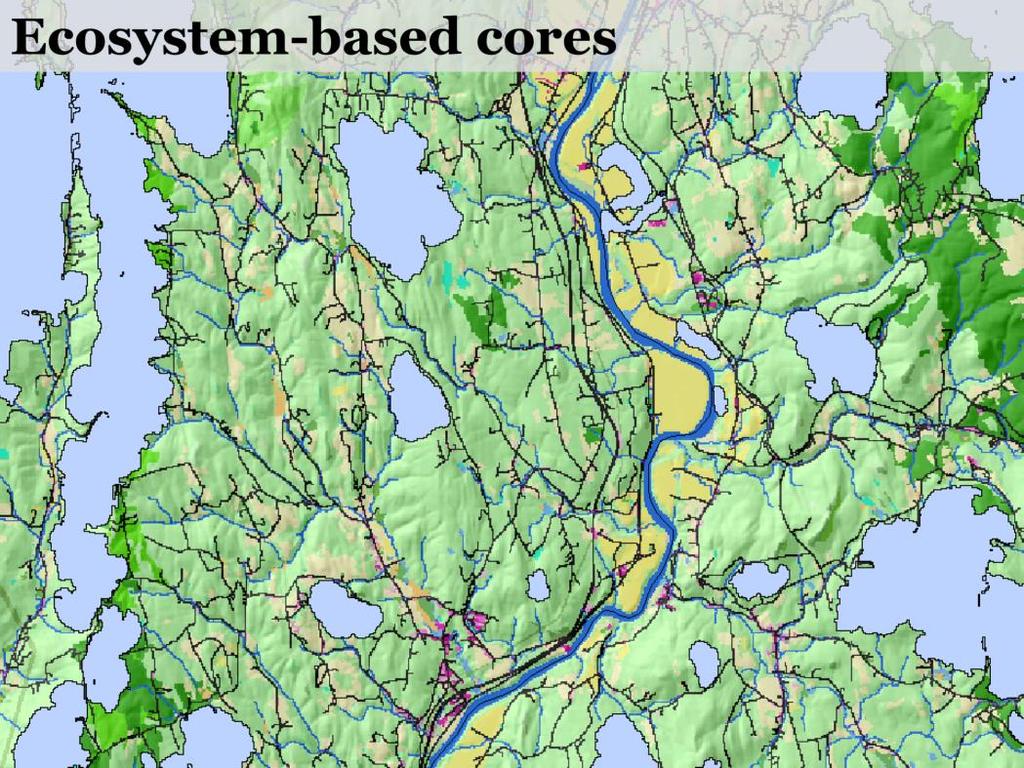 The areas in baby blue are our ecosystem-based cores.