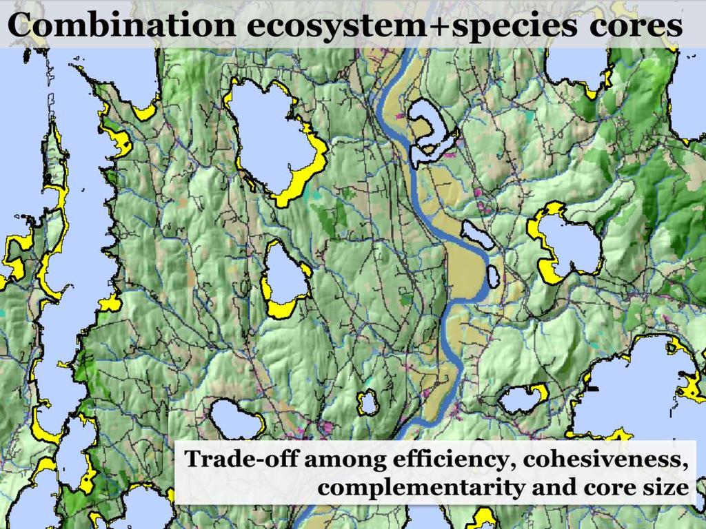 We iterate until we ve picked an additional 5% of the landscape (here in yellow), giving us cores that cover 25% of the landscape, representing high-valued areas for both ecosystems and species.
