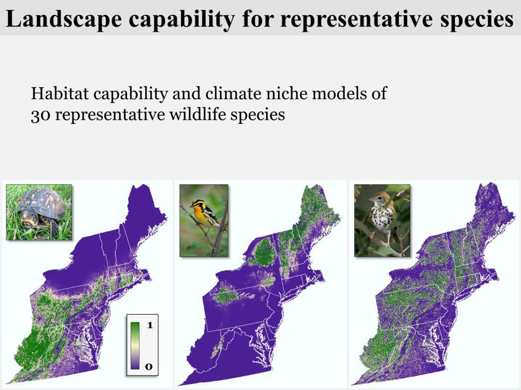 We also assess the landscape with models for 30 representative wildlife species.