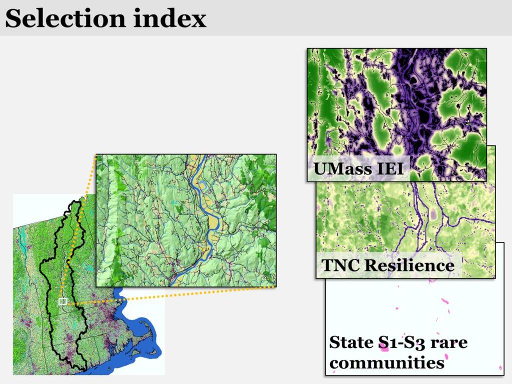 We start with a selection index that consists of our Index of Ecological Integrity, TNC s Resilience, and state S1-S3 rare communities, as well as mapped floodplains.