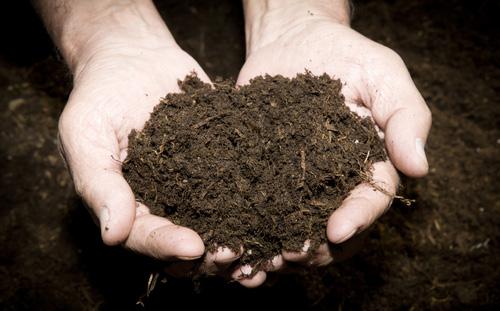 Does composting attract pests? Setting up a compost bin will not attract new pest populations to your property.