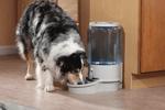 Pet waterer filter provides clean water so pets drink more fresh water. Our pet bowl has high capacity storage unlike other pet waterer in the market.