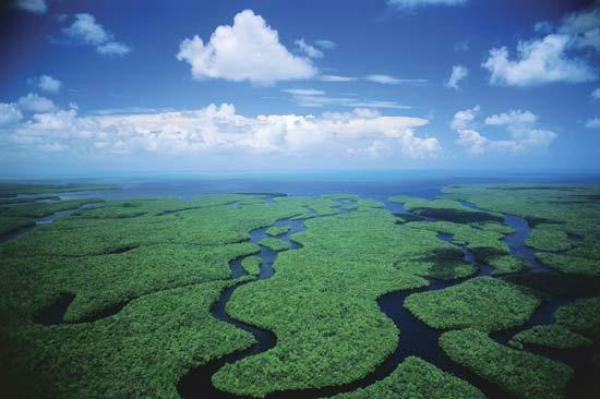 UN, IUCN, CBD, Ramsar, World Bank US Ecosystem Restoration Top 10 large ecosystem restoration efforts in the US; encompassing 27 states affecting 125+ million people (45% of US population Investing