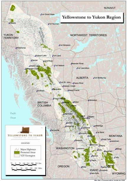 Y2Y Yellowstone to Yukon Conservation Initiative Vision An interconnected system of wild lands and