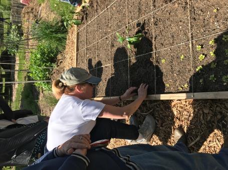 Several were teachers wanting to learn basic veggie gardening skills so they could pass that knowledge on to their students.