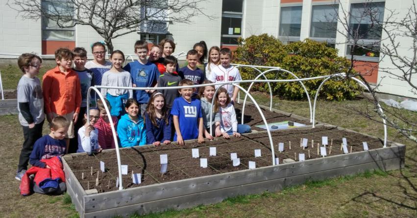 An ambassador program was utilized to connect 5th graders with kindergarten classes. During this outdoor lesson, 5th graders helped kindergarteners plant the pole beans in the Three Sister Garden.