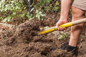 Prepping your site Before your new hedge arrives you ll need to prepare the site where you wish to plant it.