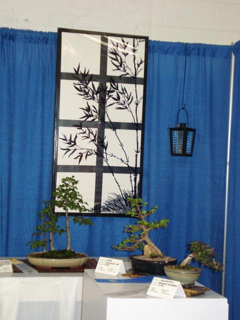 Narrow Leaf Ficus (A) - Dennis C Larch (A) - Dennis C Vietnamese Water Jasmine (A) - Kris Z (MBS)