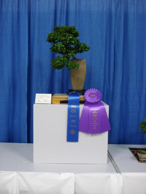 State Fair Results (cont) O=Open, A=Advanced, I=Intermediate, N=Novice, Y=Youth Show #3 -