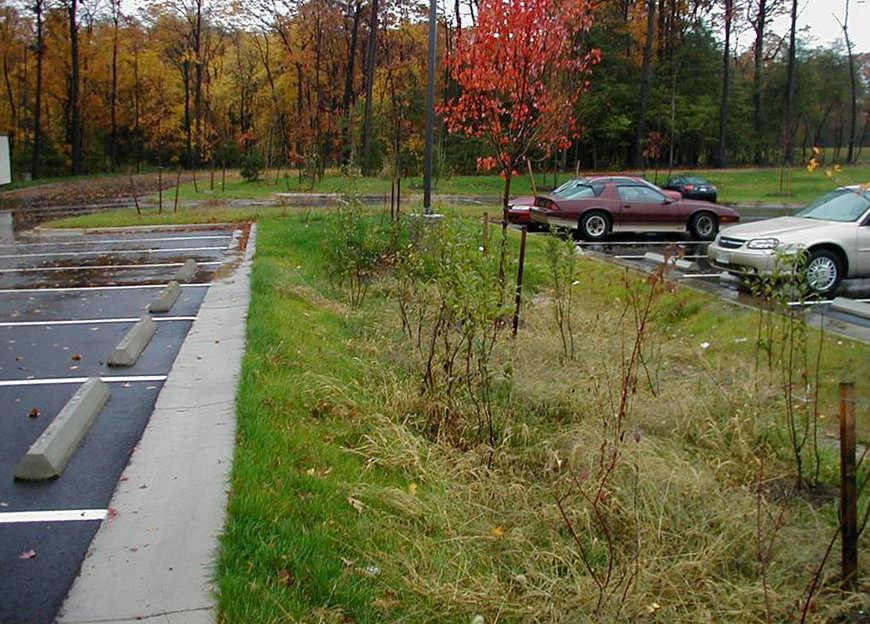 Placing bioretention areas consisting of sand and soil mixed with native plants adjacent to impervious surfaces, including parking areas and internal access ways, helps filter runoff and improve
