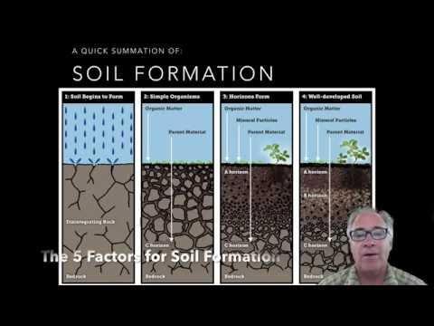 Soil Formation