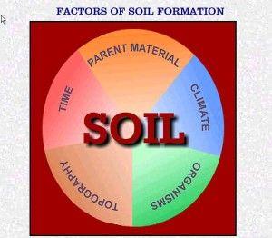 Factors that Form Soil CLimate Organisms Relief/Topography Parent