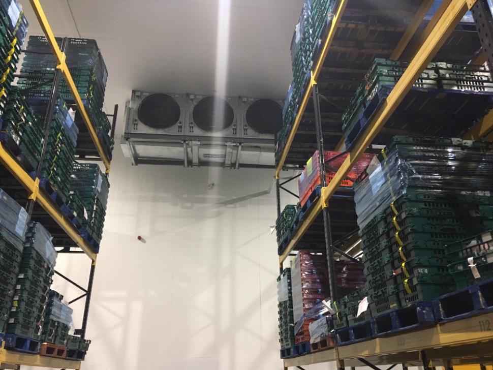 Case Study 4 140kW Low Charge R717 Condensing Unit
