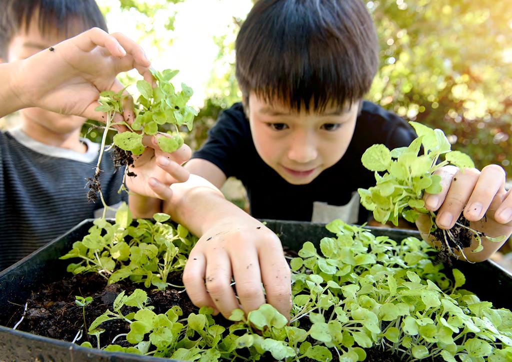 HEY SMARTY PLANTS! Did you know that having plants around can actually help children learn? Studies show that plants have a calming effect and can help with concentration and memory retention.