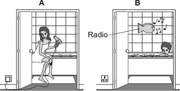 (b) Each of these pictures shows an electrical appliance being used in a bathroom.