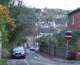 Looking down the hill along Cooper Road just below the junction with Warren Road, a wide view of Charlotteville can