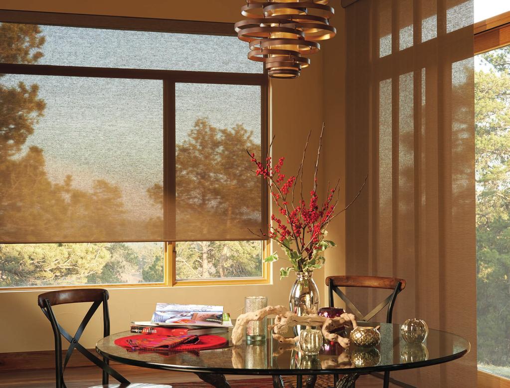 OUT OF (your) SIGHT. SLEEK AND SOPHISTICATED ROLLER SHADES If you love simple, clean design, this product is for you.